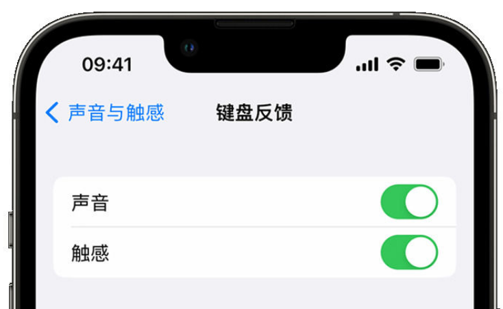 东兴苹果手机维修分享iPhone 14触感键盘使用方法 