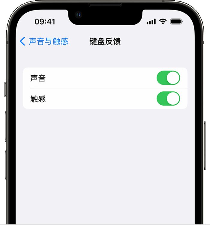 东兴苹果14维修店分享如何在 iPhone 14 机型中使用触感键盘 