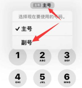 东兴苹果14维修店分享iPhone 14 Pro Max使用副卡打电话的方法 