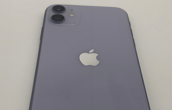 东兴苹果11系统维修分享iPhone11手机系统崩溃无法开机如何解决 